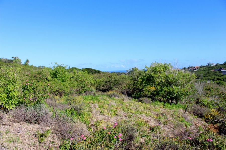 0 Bedroom Property for Sale in Forest Downs Eastern Cape